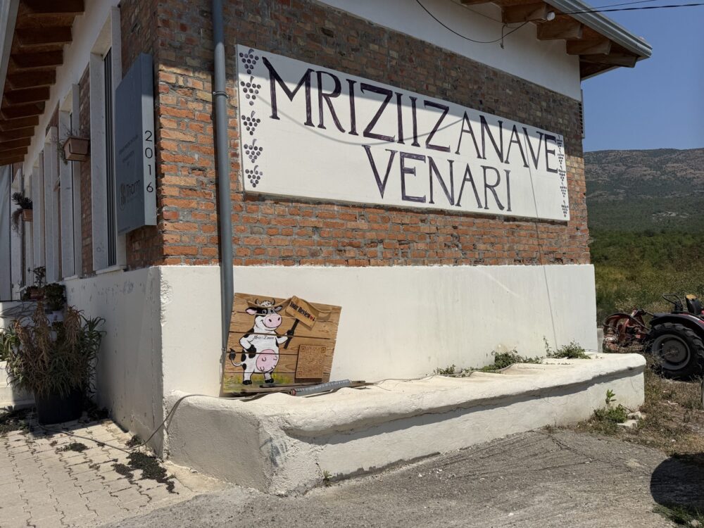 Kallmet, il vitigno che racconta il nord dell’Albania | Mrizi i Zanave Venari