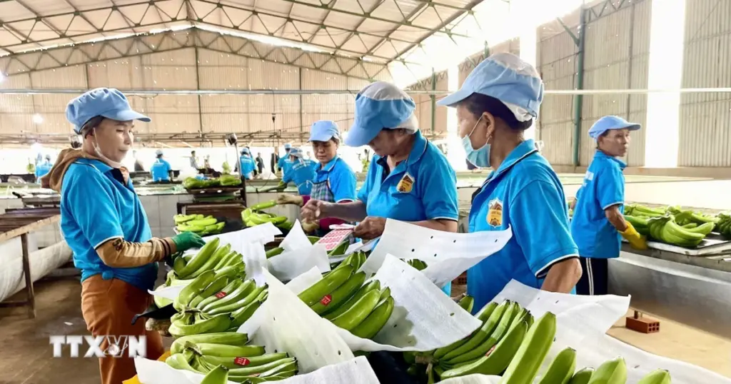 Vietnam.vn - Nền tảng quảng bá Việt Nam