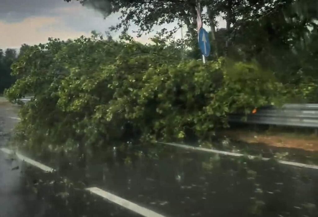 Meteo, temporali dopo l’ondata di caldo, le ultime news in diretta Meteo, temporali dopo l’ondata di caldo, le ultime news in diretta