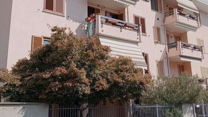 Paullo: fermato vicino a Malpensa il ventenne che avrebbe sparato al papà di un “rivale” 17enne Paullo: fermato vicino a Malpensa il ventenne che avrebbe sparato al papà di un “rivale” 17enne