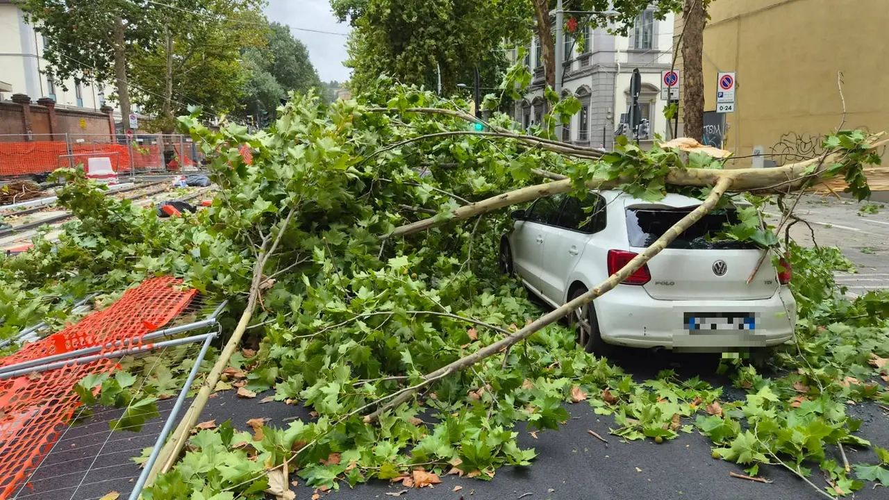 L'auto schiacciata dal grosso ramo in viale della Giovine Italia
