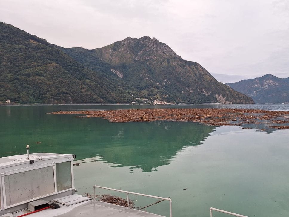 None Maltempo in Valle Camonica, piena dell’Oglio verso il lago d’Iseo