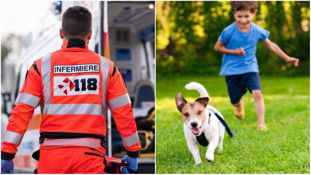 Serata ‘calda’ in pizzeria, cane morde al volto una bimba: il padre litiga con il padrone e si scaglia sull’infermiere