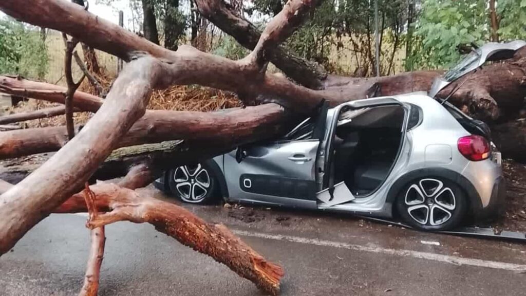 Maltempo a Roma: albero crolla su auto in transito sulla via Ardeatina, ferito il conducente Maltempo a Roma: albero crolla su auto in transito sulla via Ardeatina, ferito il conducente