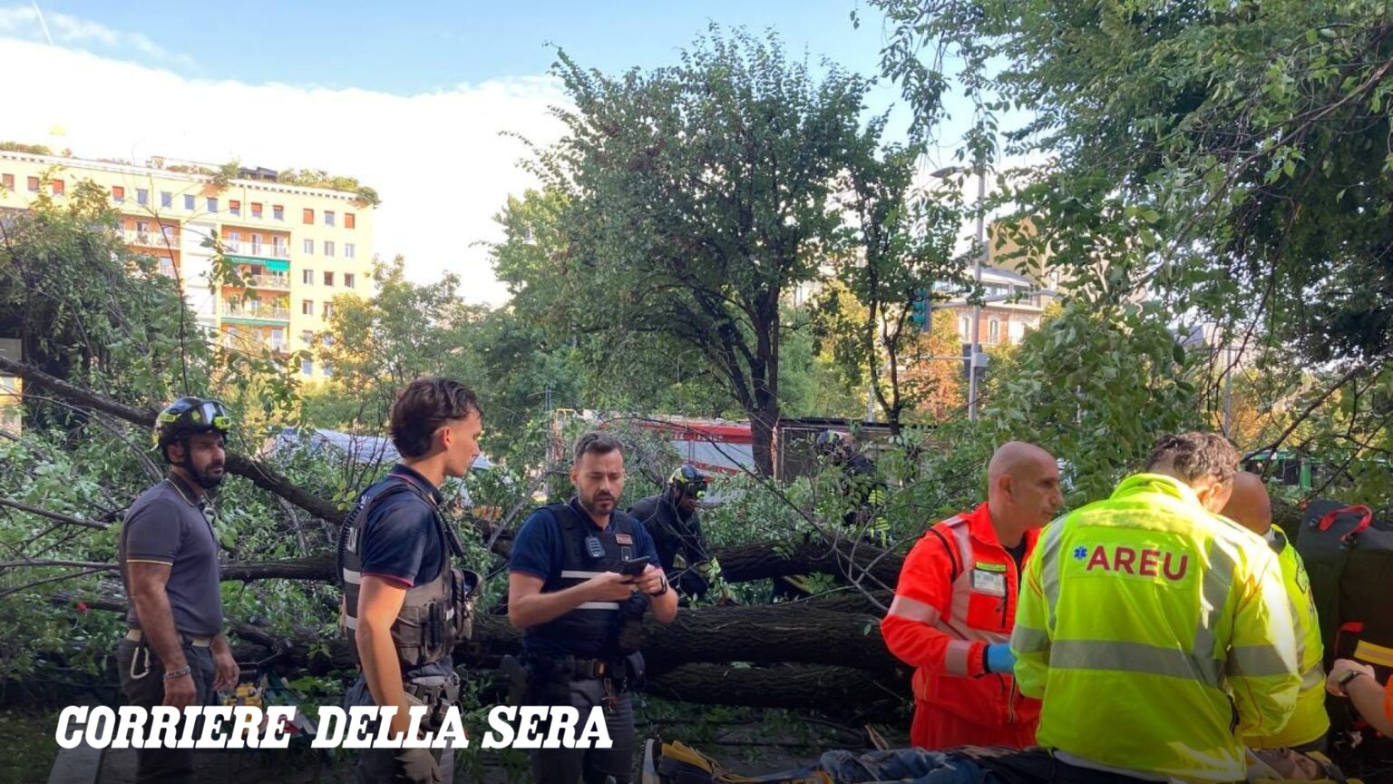 Milano, crolla un albero in piazza Risorgimento: feriti tre passanti, uno è grave. «Segnalato più volte, eravamo terrorizzati»