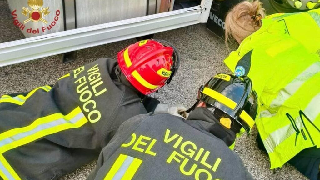 Mamma 42enne investita e uccisa mentre porta la figlia a scuola Mamma 42enne investita e uccisa mentre porta la figlia a scuola