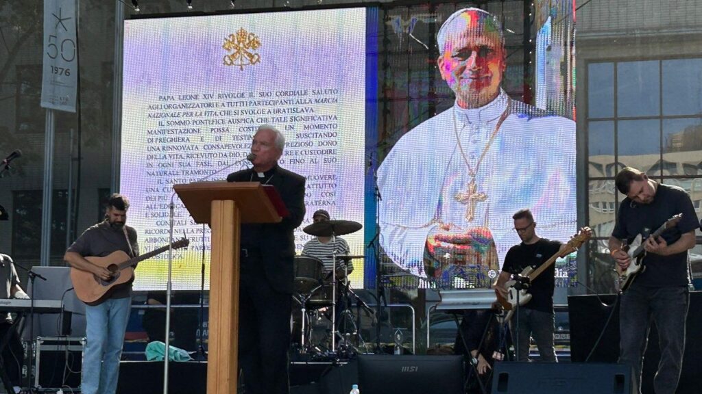 Il Papa: accogliere e custodire la vita dal concepimento al naturale tramonto