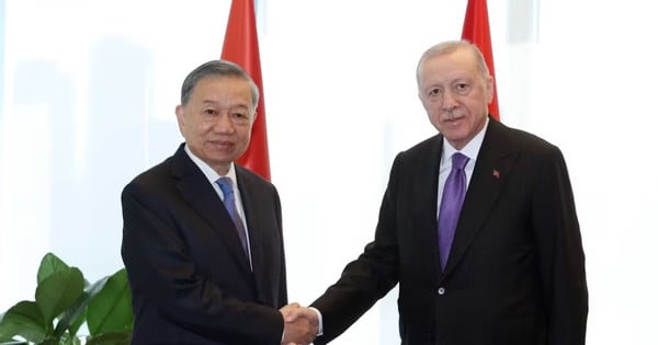 Dare impulso alla cooperazione bilaterale tra Vietnam e Turchia. Vietnam.vn - Nền tảng quảng bá Việt Nam