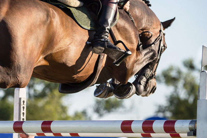 Federazione Italiana Sport Equestri – Azzurri del salto ostacoli in Marocco, Messico, Spagna, Austria, Belgio, Francia, Romania e Germania Federazione Italiana Sport Equestri - Azzurri del salto ostacoli in Marocco, Messico, Spagna, Austria, Belgio, Francia, Romania e Germania
