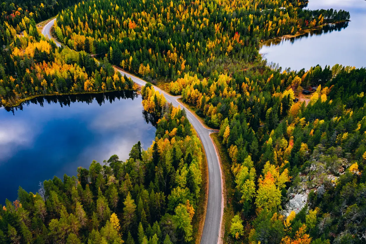 Il fenomeno della "ruska" in Finlandia