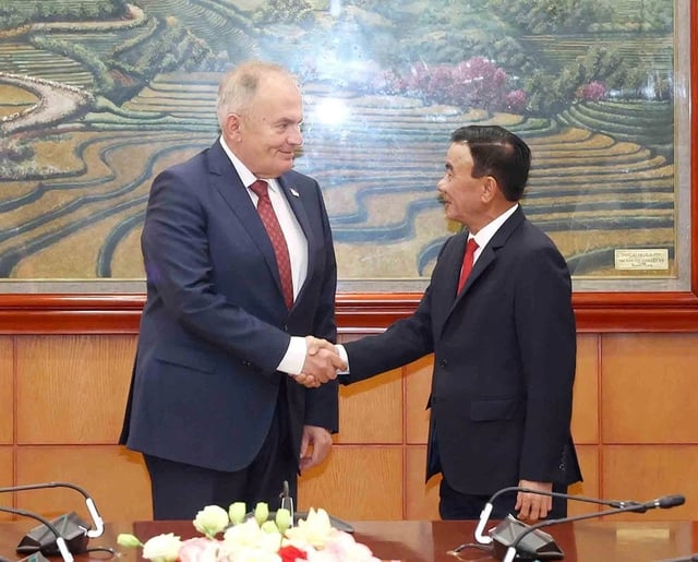 Sfruttare i canali del Partito per promuovere la cooperazione tra Vietnam e Ungheria - Foto 1.