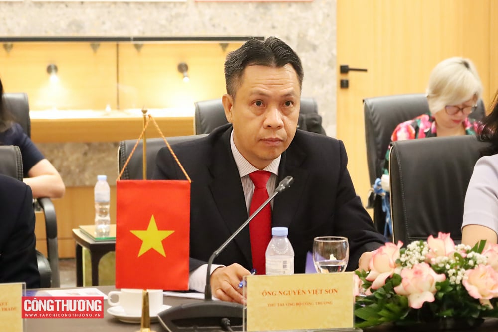 Il viceministro Nguyen Viet Son: Rafforzare i legami commerciali tra Vietnam e Finlandia, sfruttando appieno l'accordo di libero scambio EVFTA.