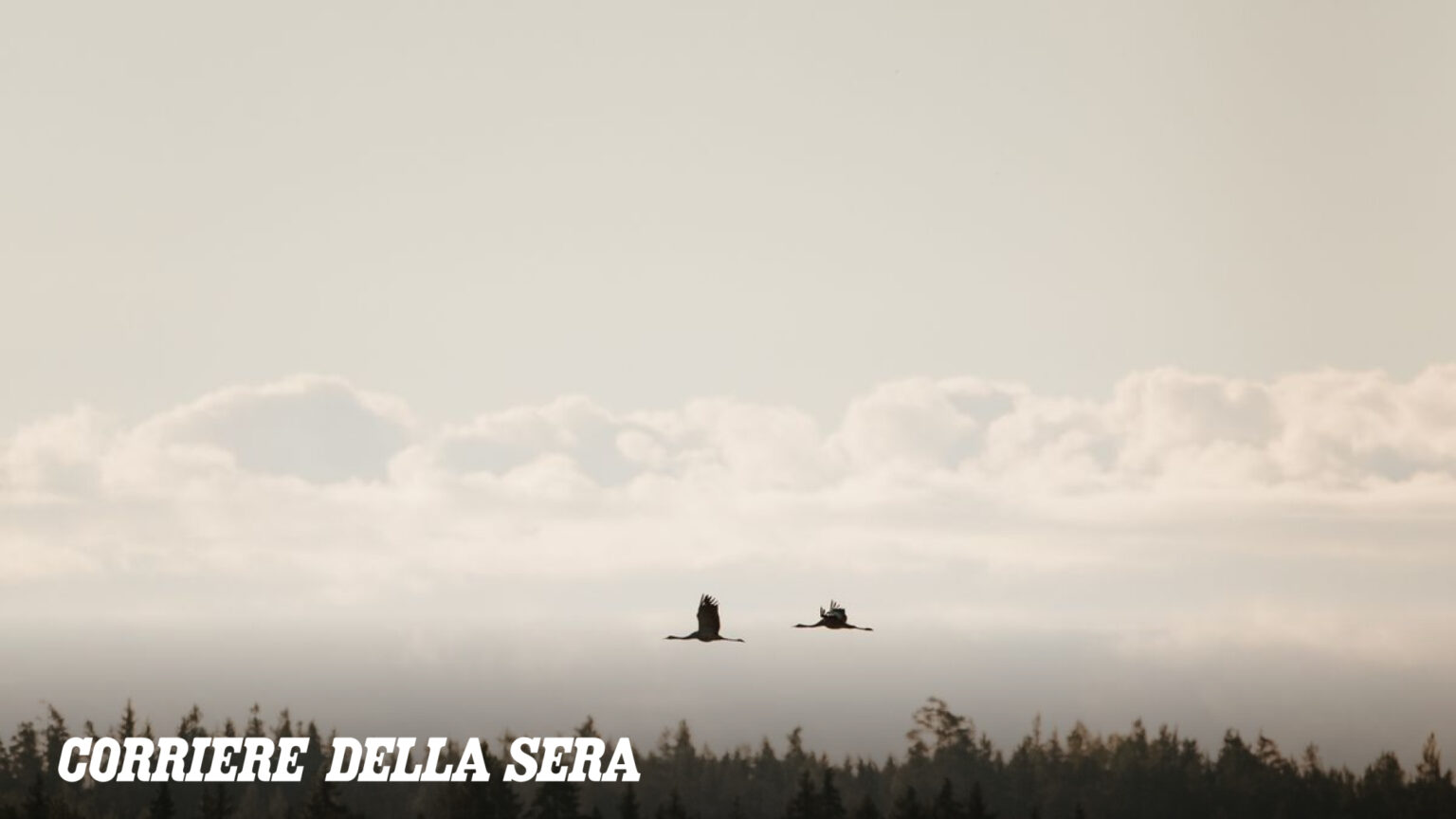 Finlandia, vento e falene rare sul palco: nasce il primo festival al mondo dedicato all’ascolto del silenzio Finlandia, vento e falene rare sul palco: nasce il primo festival al mondo dedicato all’ascolto del silenzio